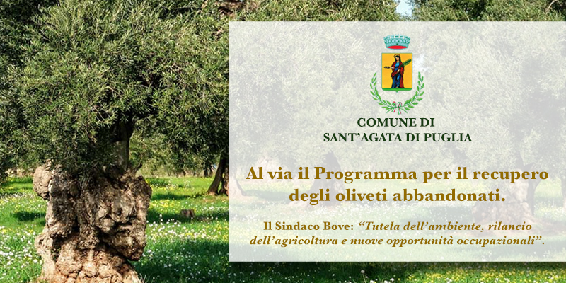 Sant’Agata di Puglia, al via il Programma per il recupero degli oliveti abbandonati. Il Sindaco Bove: “Tutela dell’ambiente, rilancio dell’agricoltura e nuove opportunità occupazionali”. 
